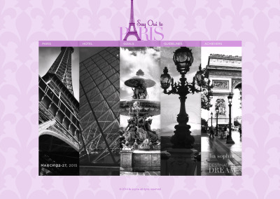 Paris Incentive Website